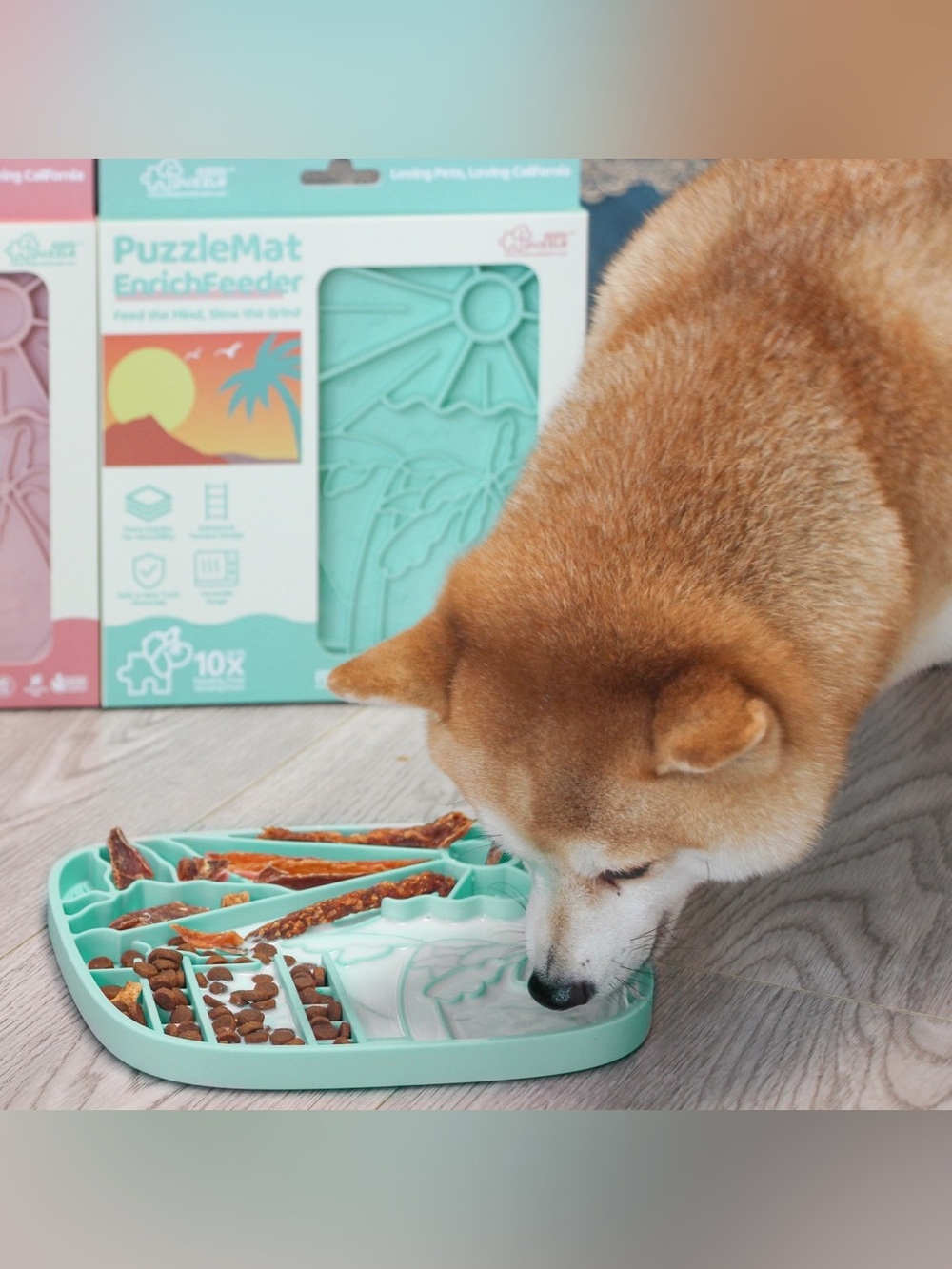 EnrichFeeder Dog Slow Feeder - Mint Green - 2-in-1 Puzzle Feeder and Lick Mat